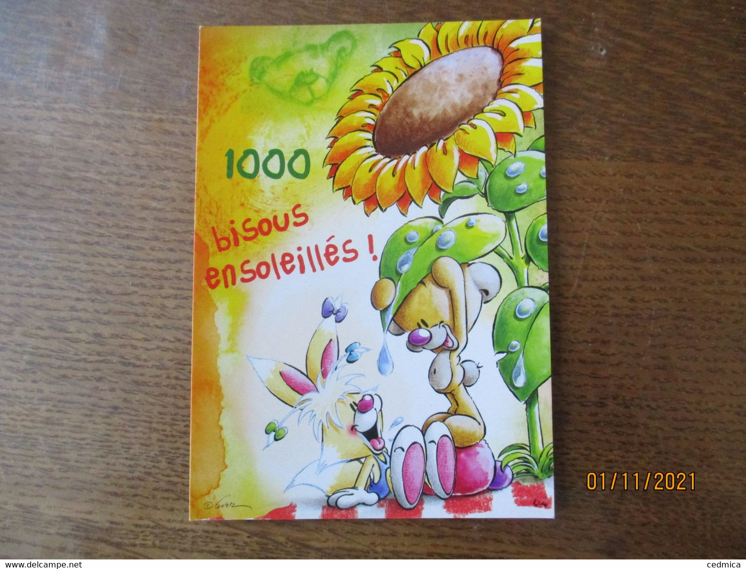 MILLE BISOUS ENSOLEILLES !  CARTE POSTALE 62 - Diddl