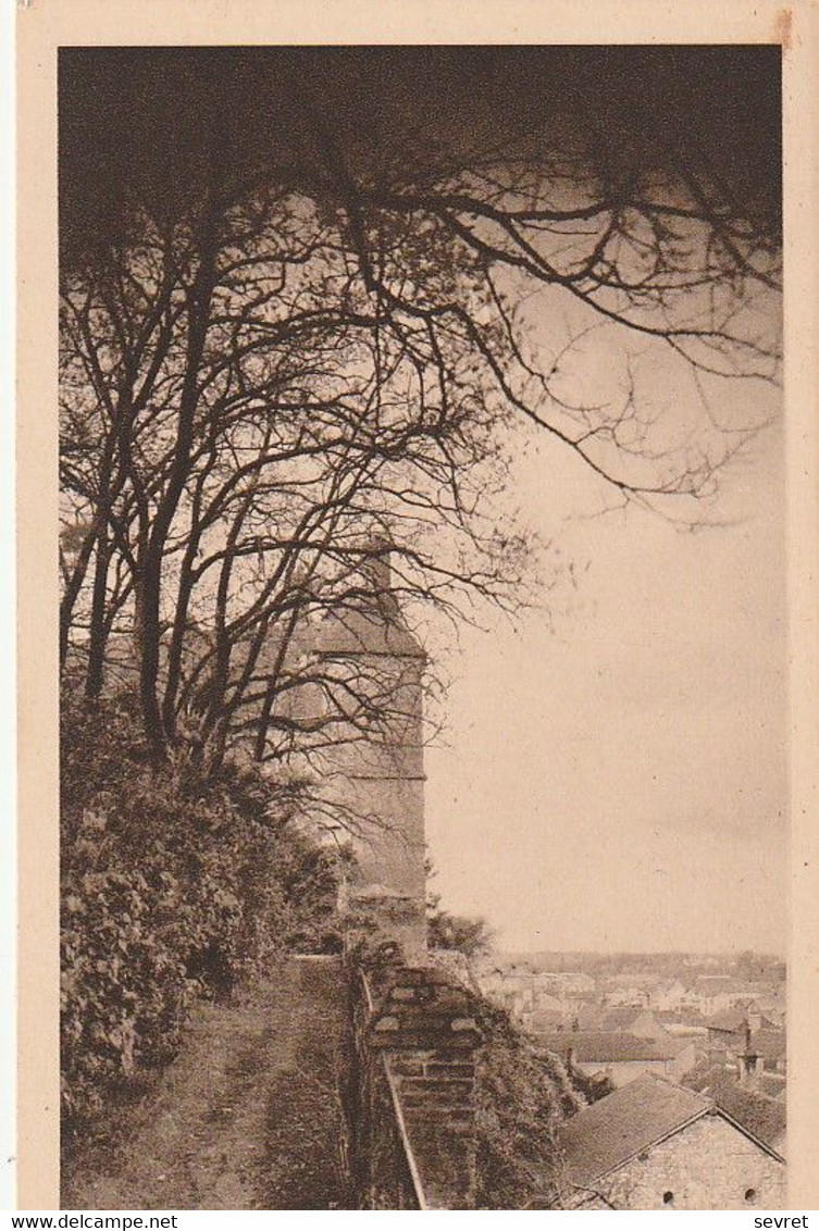 MONTARGIS. -  ECOLE SAINT-LOUIS. Au Château - Montargis