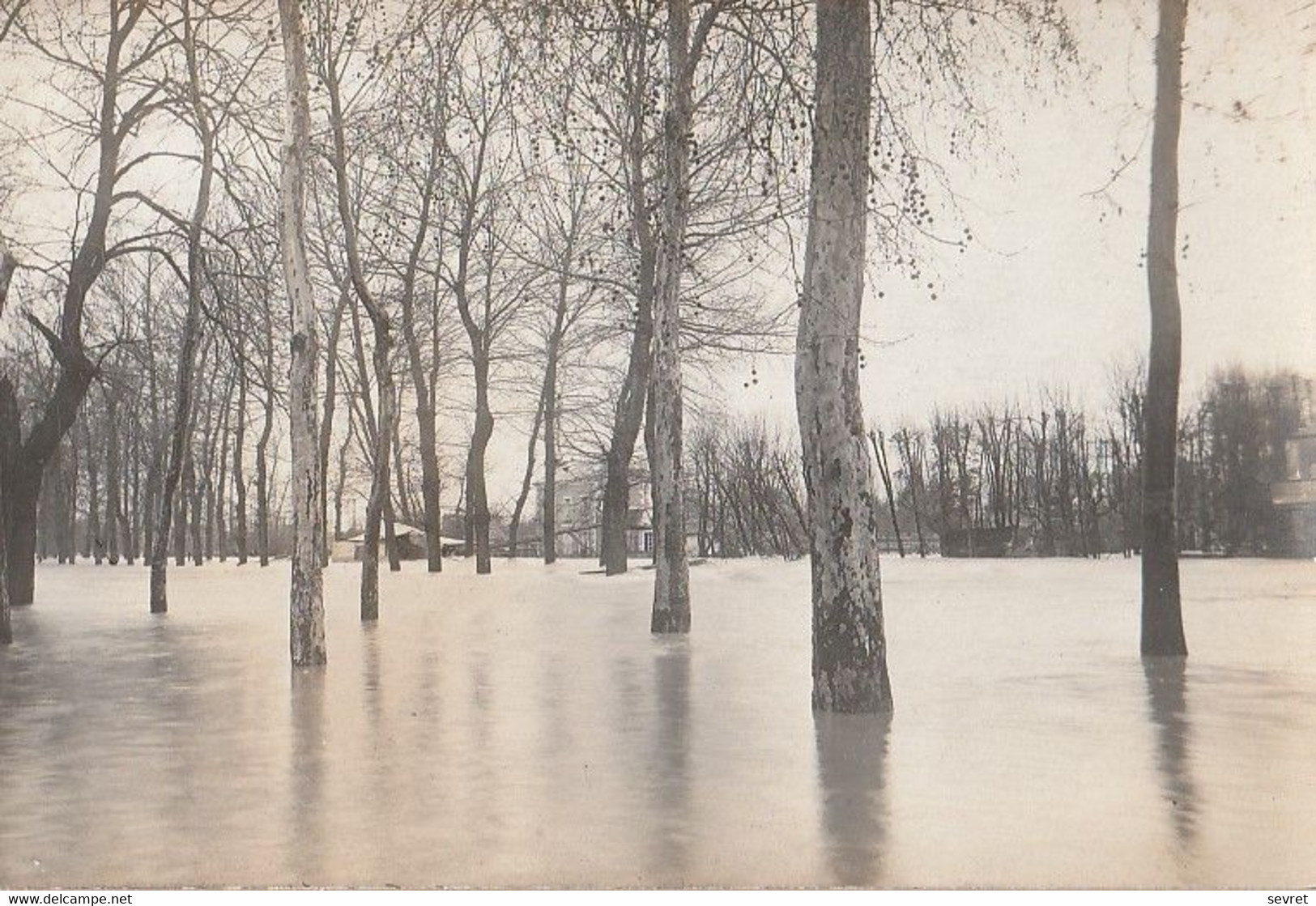 MONTARGIS. - Inondations. Carte-Photo Très Rare - Montargis