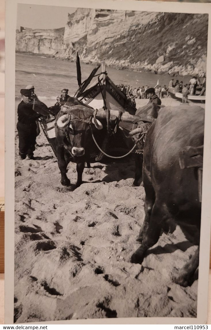 Nazaré- Motivos Regionais 1966 - Leiria