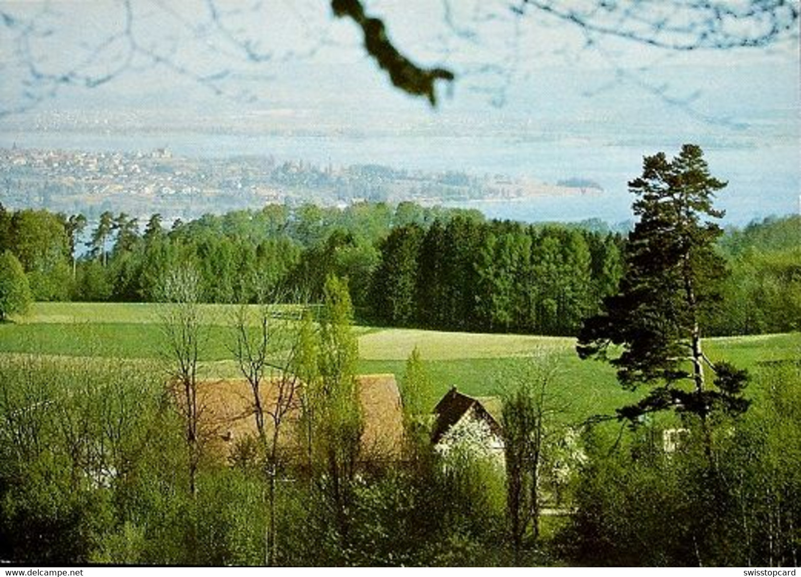 ERMATINGEN Der Schienenberg Mit Der Landzunge Höri - Ermatingen