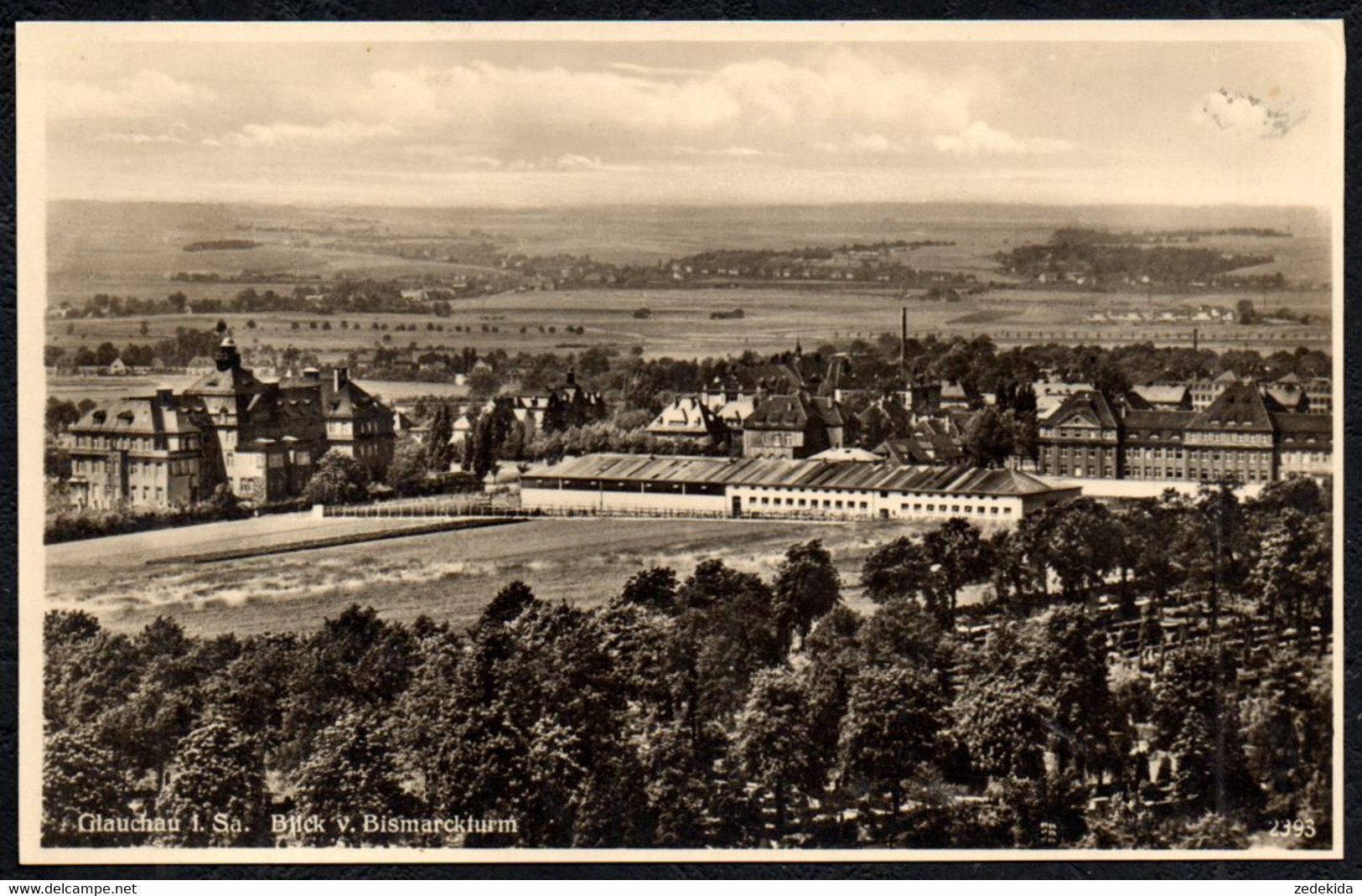 F4541 - Glauchau Blick Vom Bismarckturm - Verlag Fritz Etzel - Glauchau