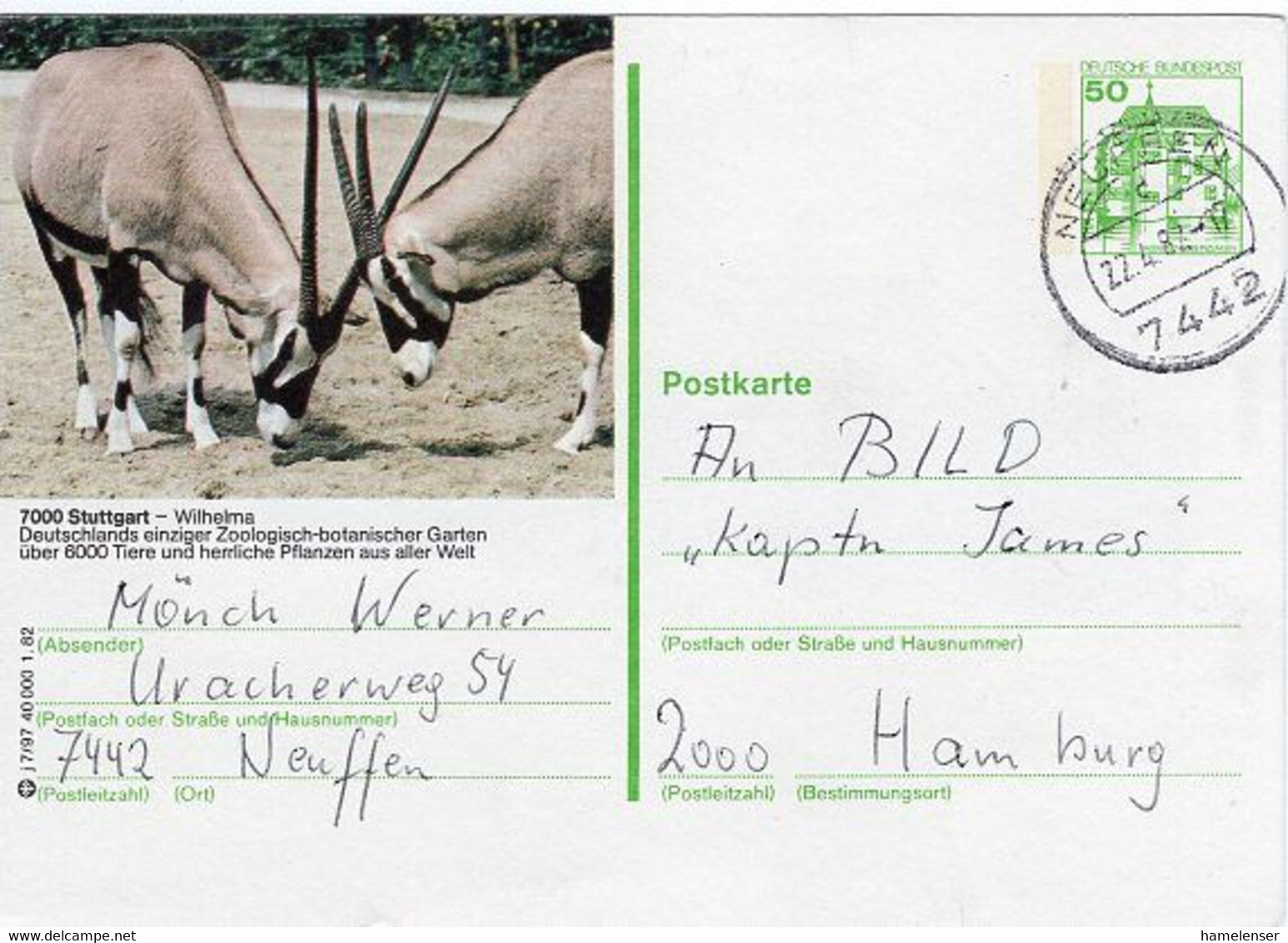 49728 - Bund - 1982 - 50Pfg. B&S Bild-GA-Kte. "Zoo Stuttgart" NEUFFEN -> Hamburg - Sonstige & Ohne Zuordnung