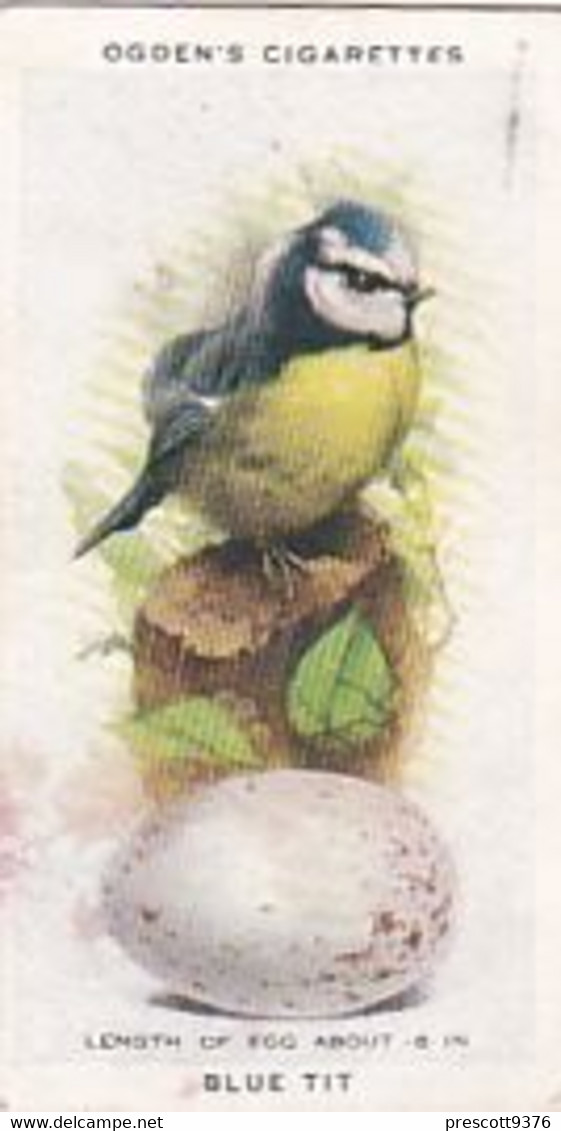 British Birds & Their Eggs 1939  - 43 Blue Tit  - Ogden's  Cigarette Card - Original - Wildlife - Ogden's