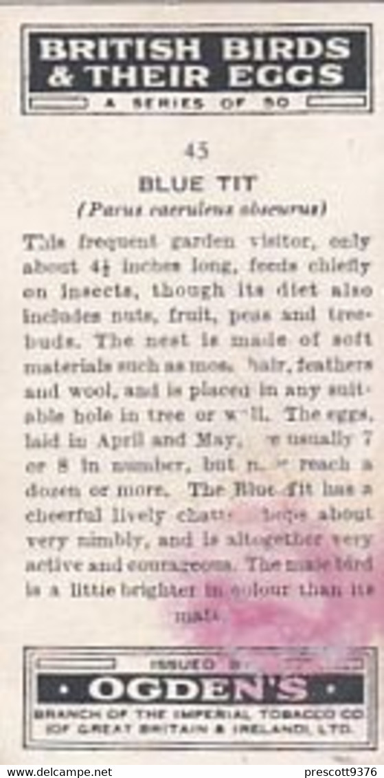 British Birds & Their Eggs 1939  - 43 Blue Tit  - Ogden's  Cigarette Card - Original - Wildlife - Ogden's