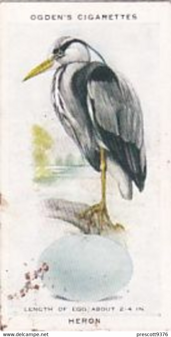 British Birds & Their Eggs 1939  - 12 Heron - Ogden's  Cigarette Card - Original - Wildlife - Ogden's