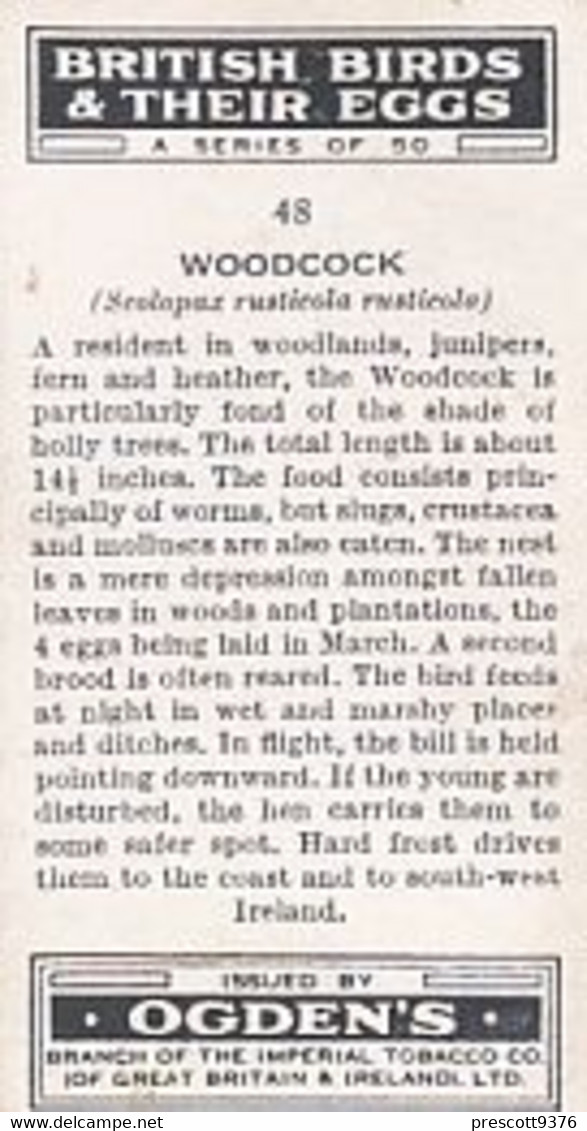 British Birds & Their Eggs 1939  - 48 Woodcock - Ogden's  Cigarette Card - Original - Wildlife - Ogden's