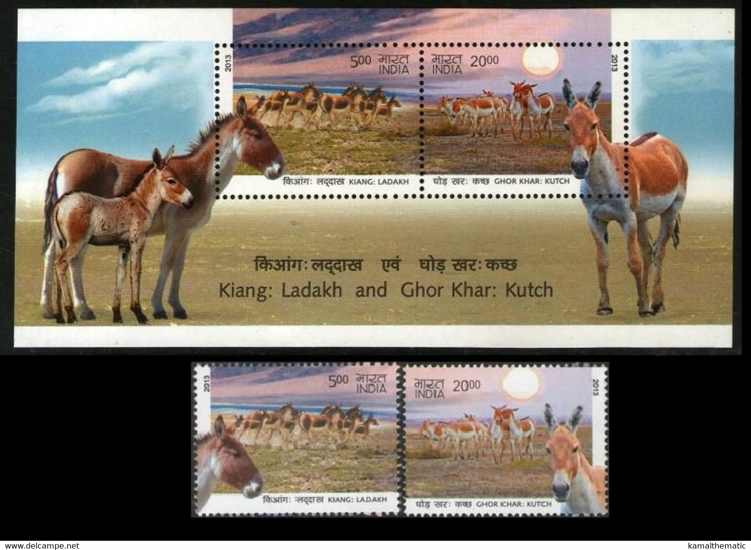 India 2013 MNH SS + 2v, Wild Ass Of Ladakh & Kutch Kiang & Ghor Khar Animals - Burros Y Asnos