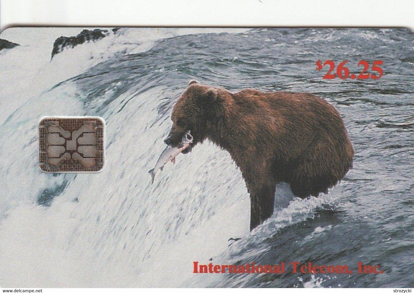 Alaska - Brown Bear With Salmon - Brooks River - Altri – America