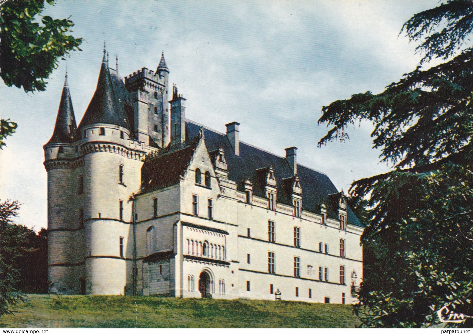 France Carte Postale Vouneuil Sur Vienne Le Château De Chitre - Vouneuil Sur Vienne
