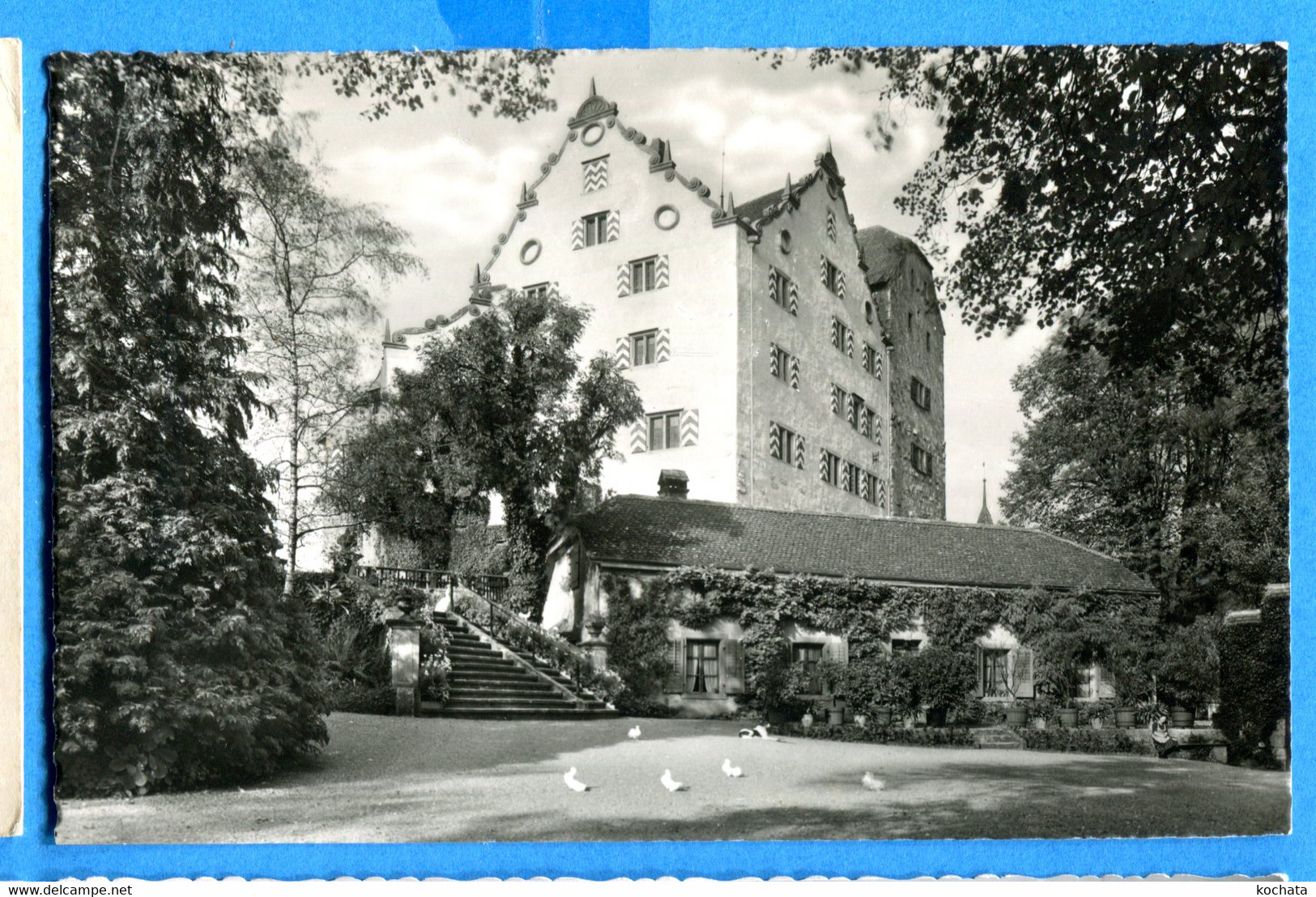 PRO250, Schloss Wildegg Mit Burghof, 732, J. Schmidli, Non Circulée - Wildegg