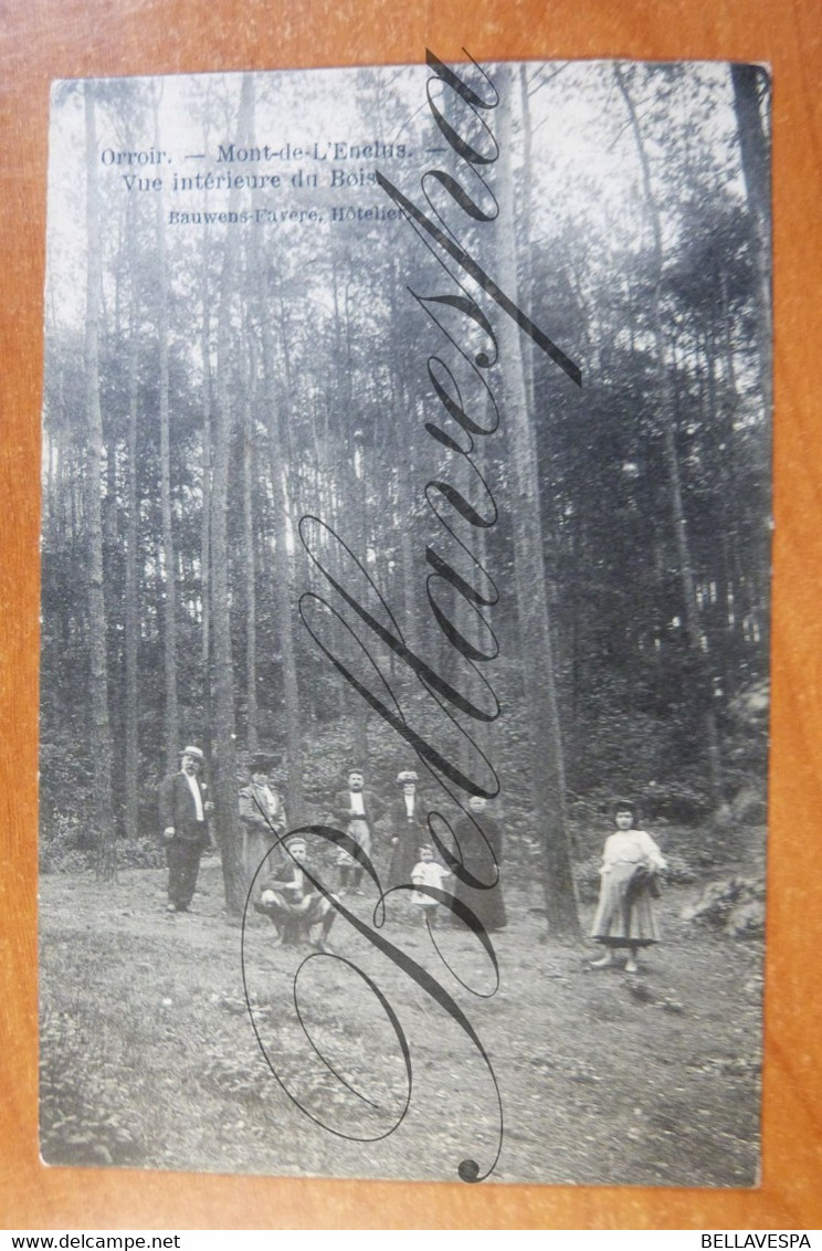 Orroir Mont De L'Enclus  Vue Interieure Du Bois - Kluisbergen