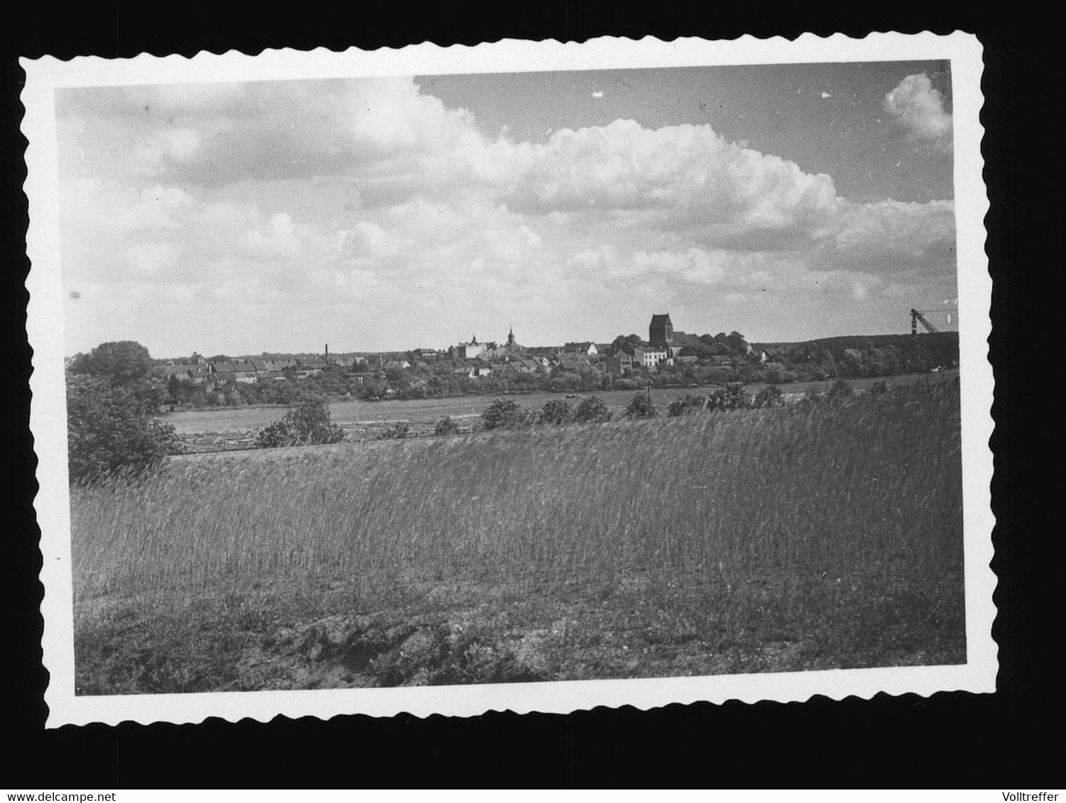 Orig. Foto 1930 Ortspartie Hohenlychen Uckermark, Lychen, Schöne Aufnahme Der Landschaft - Lychen