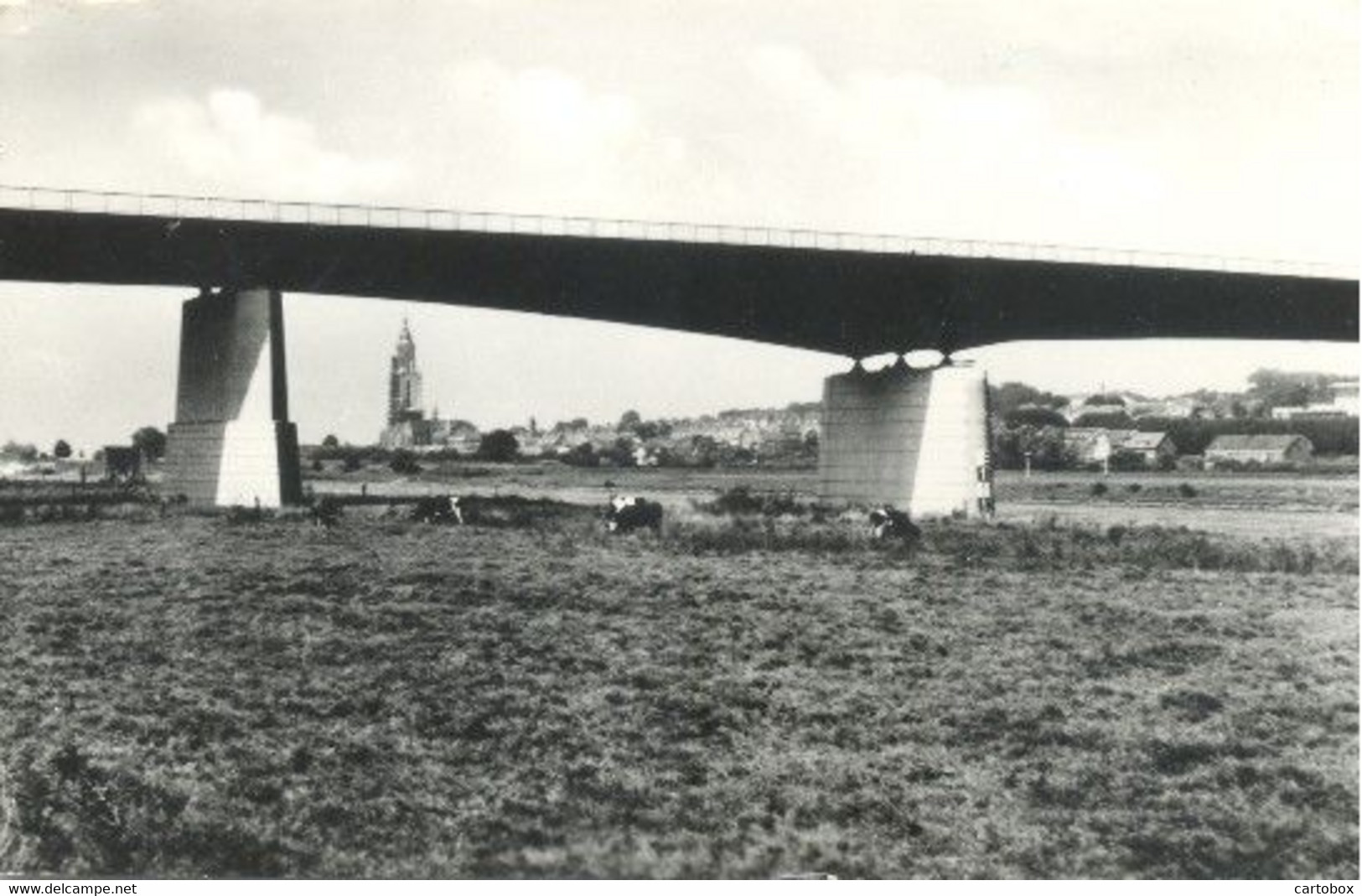 Rhenen, Rijnbrug - Rhenen