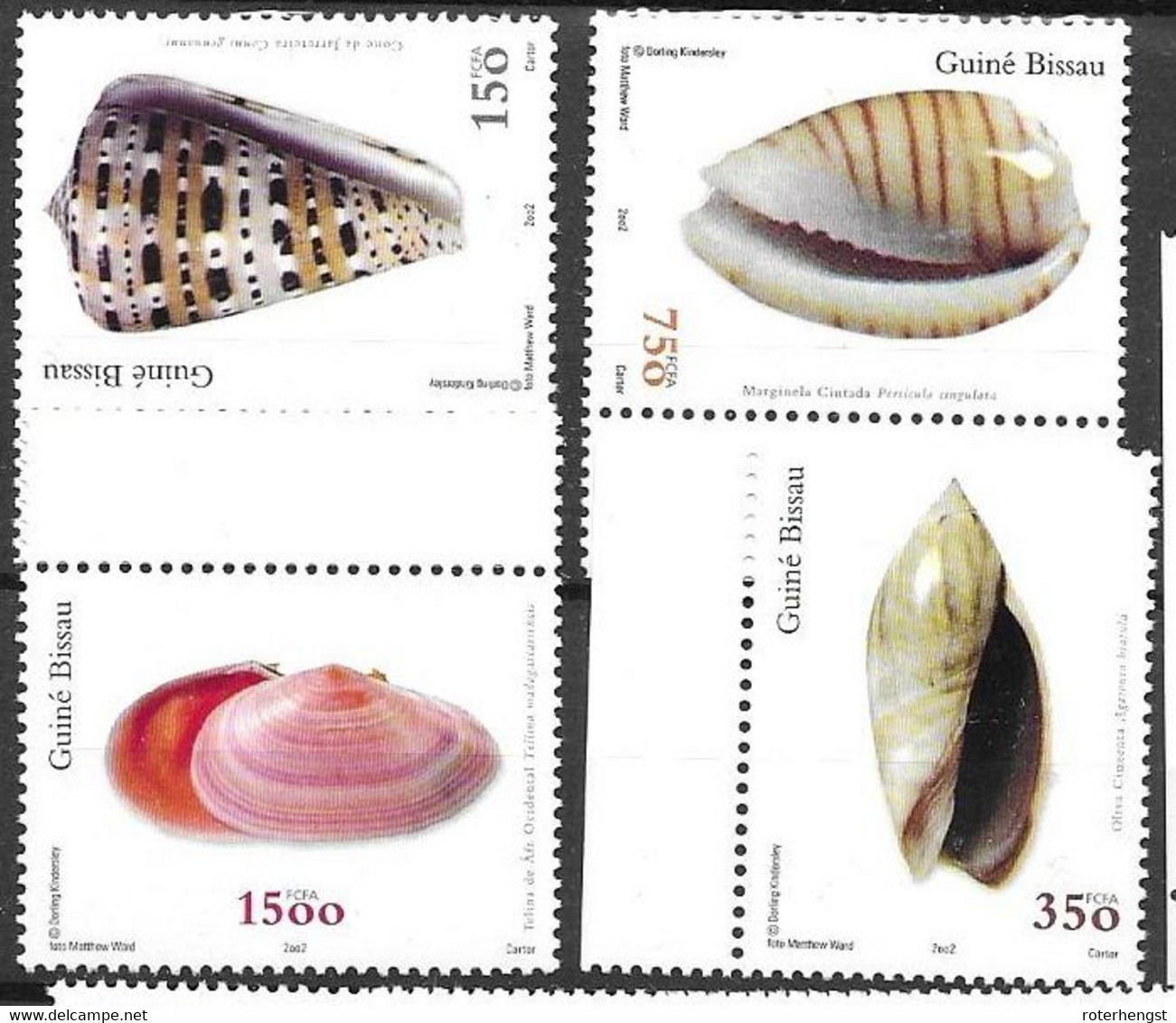 Guinea Bissau Mnh ** 2002 Complete Shells Set 14 Euros - Guinea-Bissau