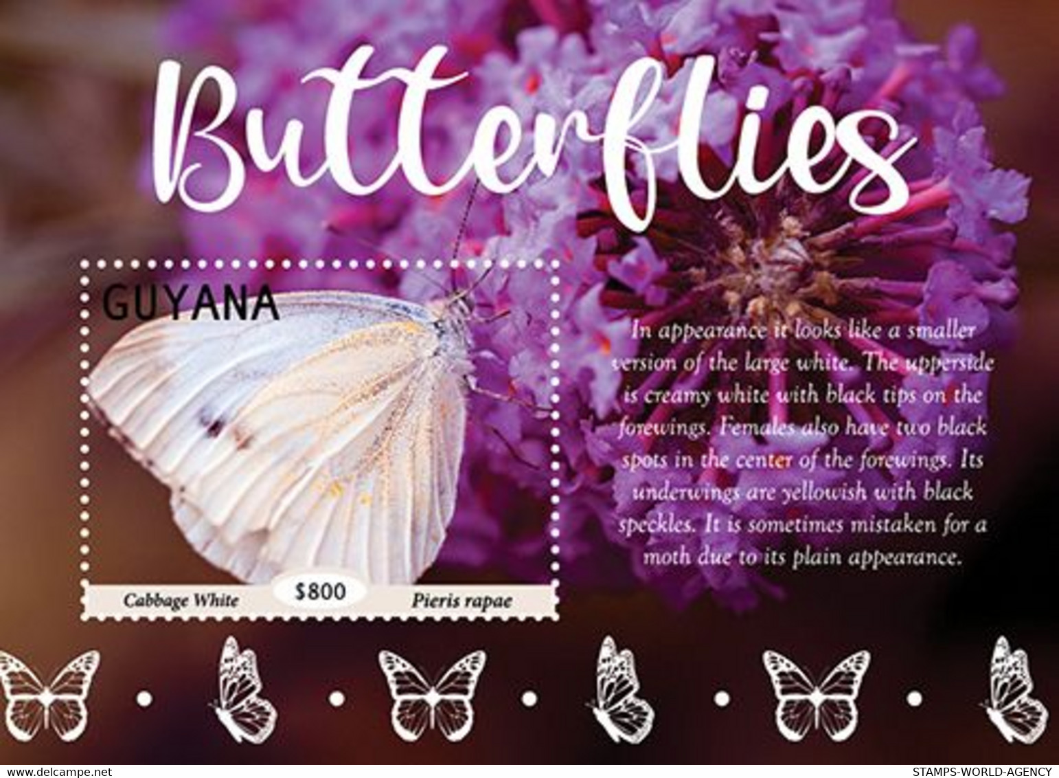 2021/06 - GUYANA - BUTTERFLIES                    1V      MNH** - Schmetterlinge