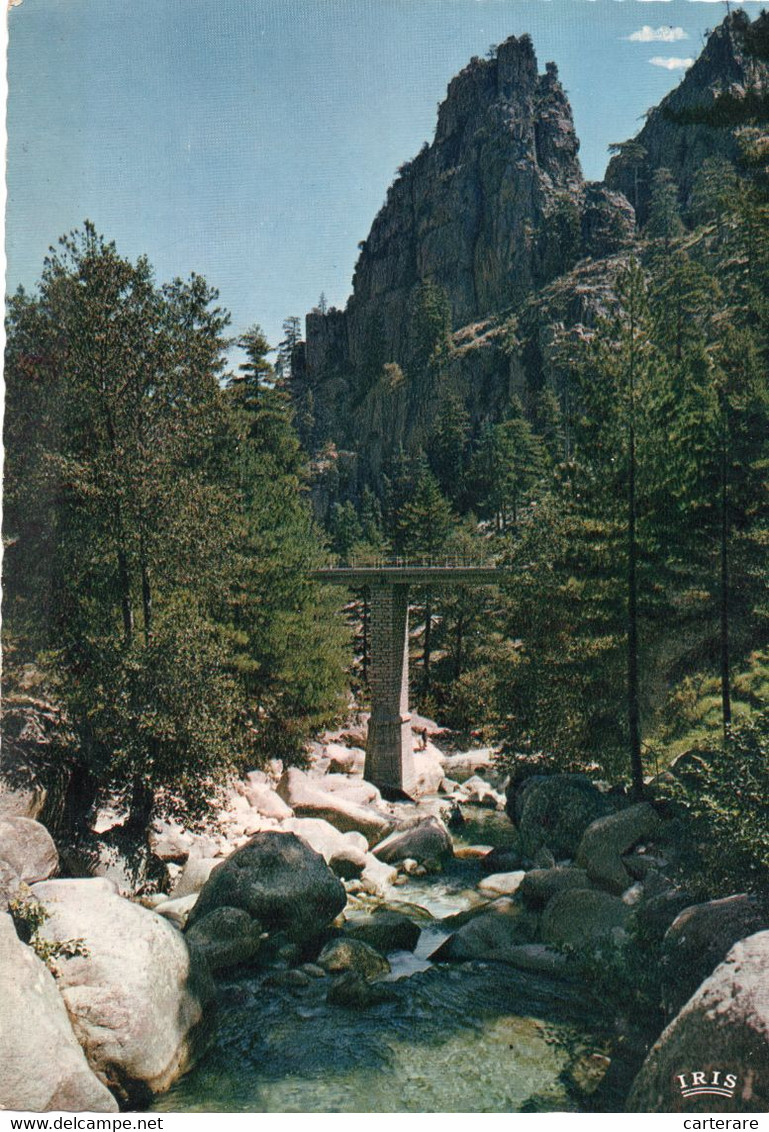 HAUTE CORSE,CORSICA,CORTI,CORTE,LA RESTONICA,PONT TRAGONE - Corte