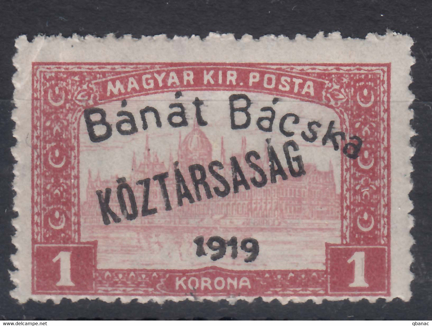 Hungary Banat Bacska 1919 Mi#31 Mint Never Hinged - Banat-Bacska