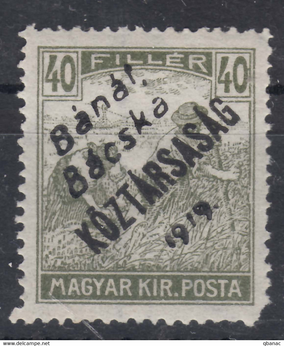 Hungary Banat Bacska 1919 Mi#30a Mint Never Hinged - Banat-Bacska