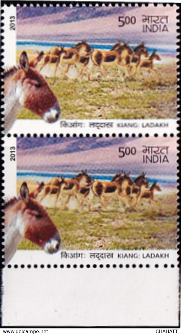 DONKEYS- ASS OF KUTCH-INDIA - PAIR- 500p- MNH- INDIA-2013-MNH-B3-1047 - Asini