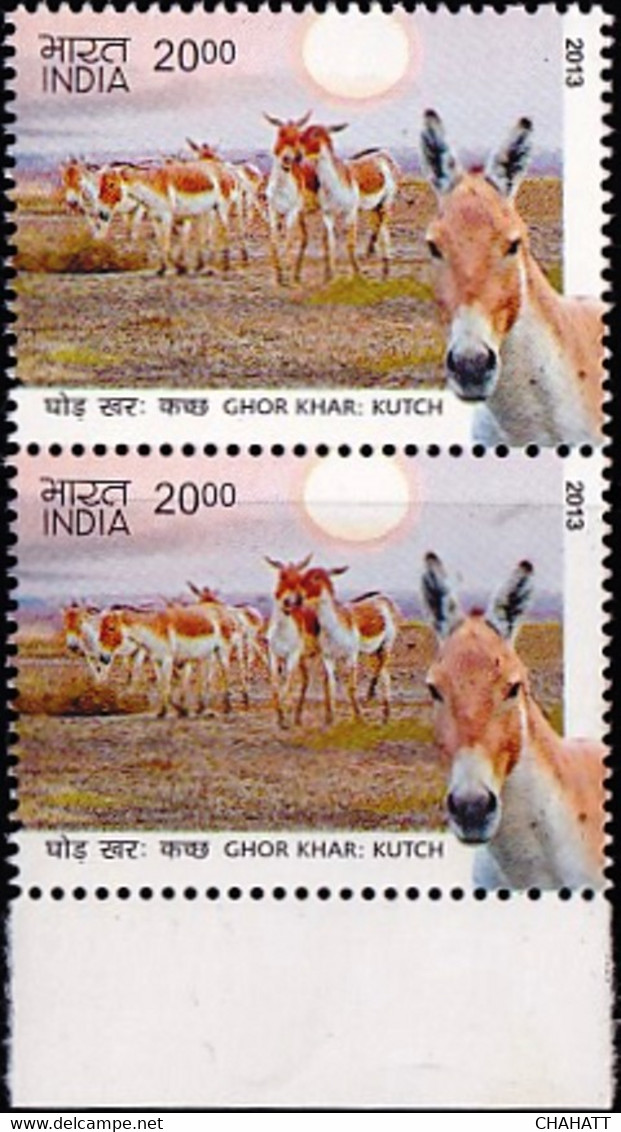 DONKEYS- ASS OF KUTCH-INDIA - PAIR- 2000p- MNH- INDIA-2013-MNH-B3-1046 - Anes