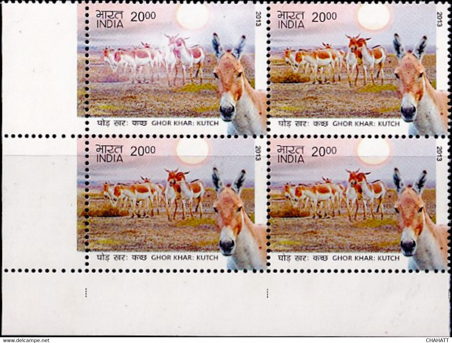 DONKEYS- ASS OF KUTCH-INDIA BLOCK OF 4- 2000p- ERROR-VARIETY- MNH- INDIA-2013-MNH-B3-1046 - Esel