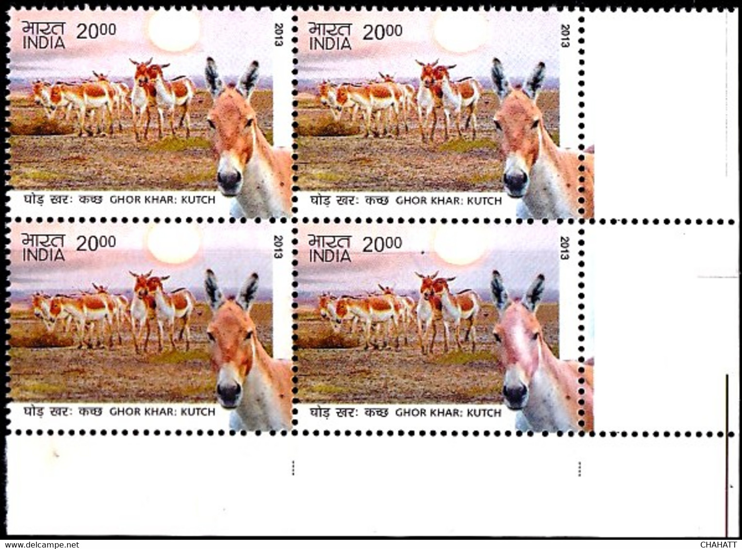 DONKEYS- ASS OF KUTCH-INDIA BLOCK OF 4- 2000p- ERROR-VARIETY- MNH- INDIA-2013-MNH-B3-1046 - Esel