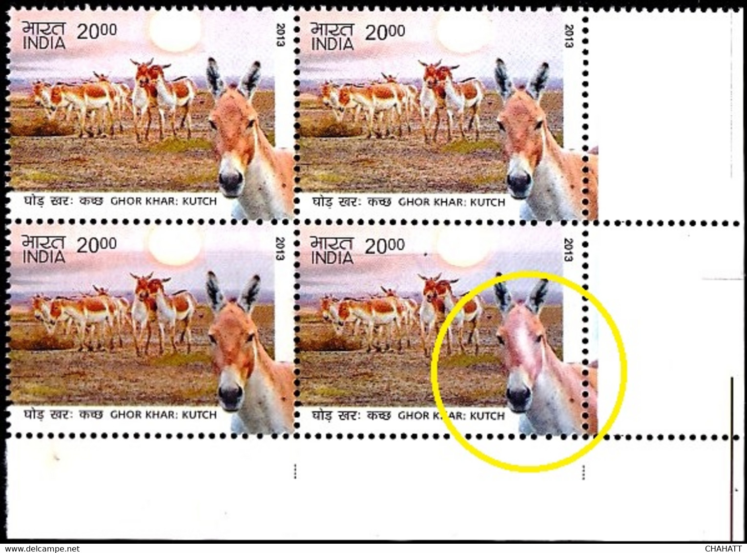 DONKEYS- ASS OF KUTCH-INDIA BLOCK OF 4- 2000p- ERROR-VARIETY- MNH- INDIA-2013-MNH-B3-1046 - Asini