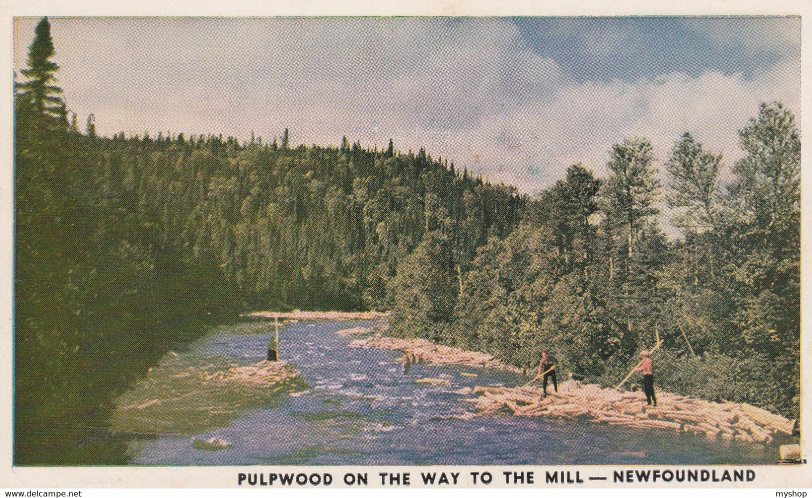CANADA, * PULP WOOD ON THE WAY TO THE MILL* SENT WITH GREAT CANCERL SEE BACSIDE - Otros & Sin Clasificación