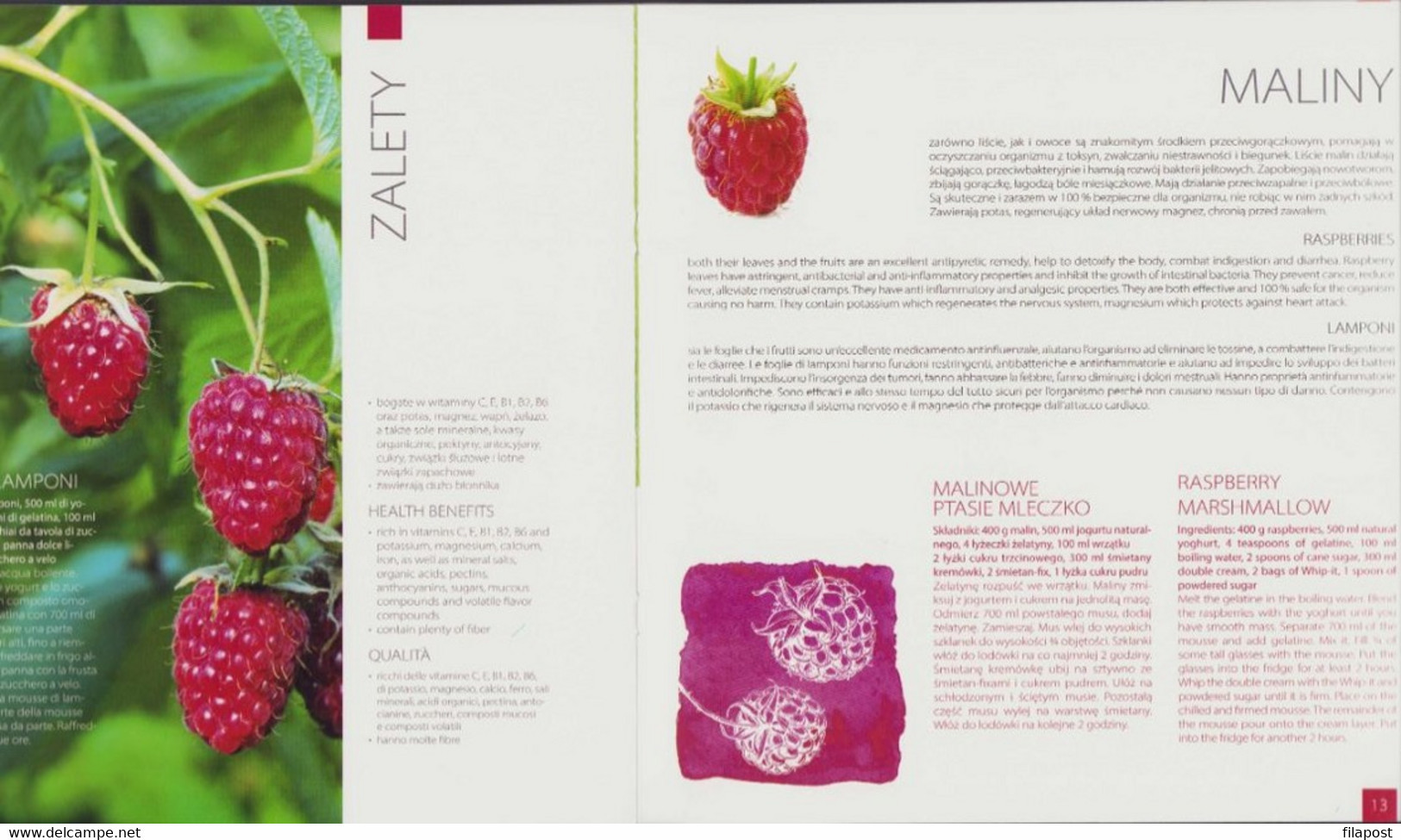 Poland 2015 Souvenir Booklet / World's Fair Expo In Milan, Fruit, Plants, Food, Exposition / With Mini Sheet MNH** - 2015 – Milan (Italie)