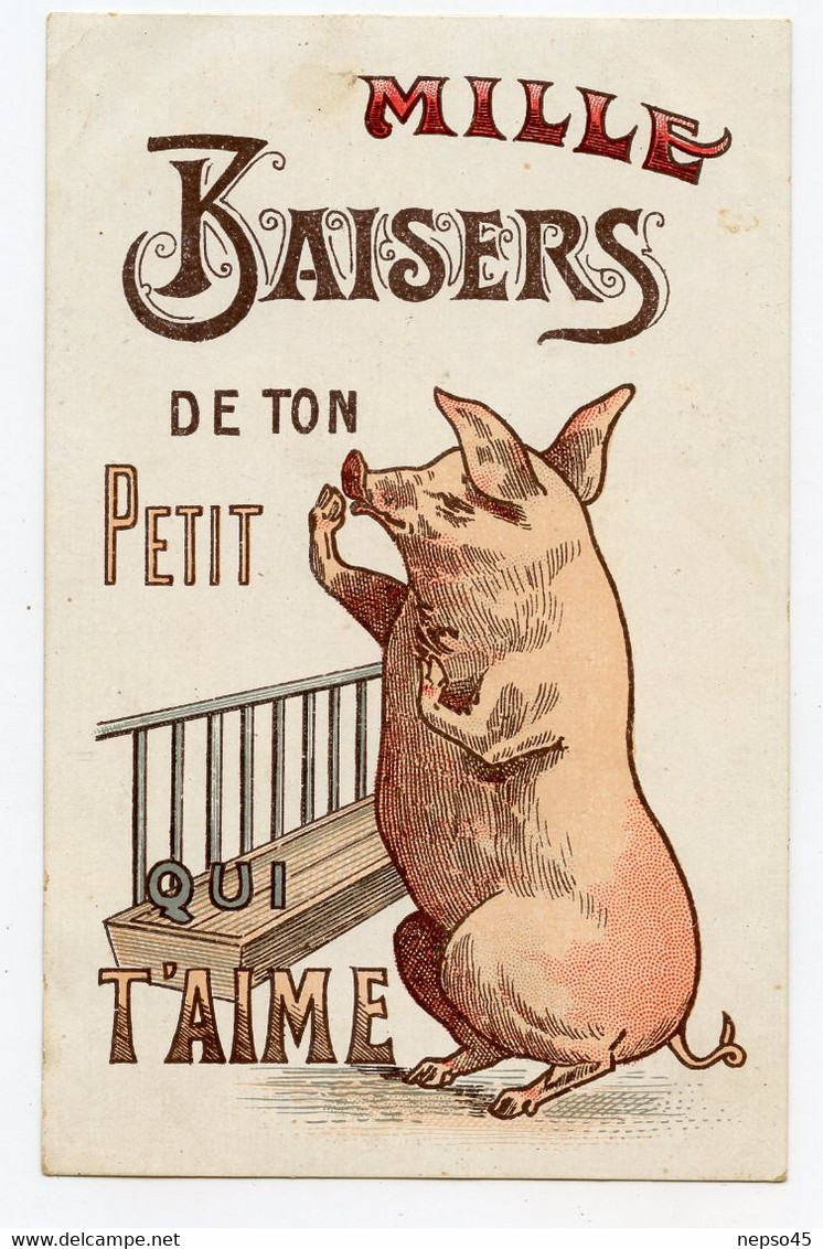 Mille Baisers De Ton Petit ( ?) Cochon Qui T'aime Très Fort.pig. - Maiali