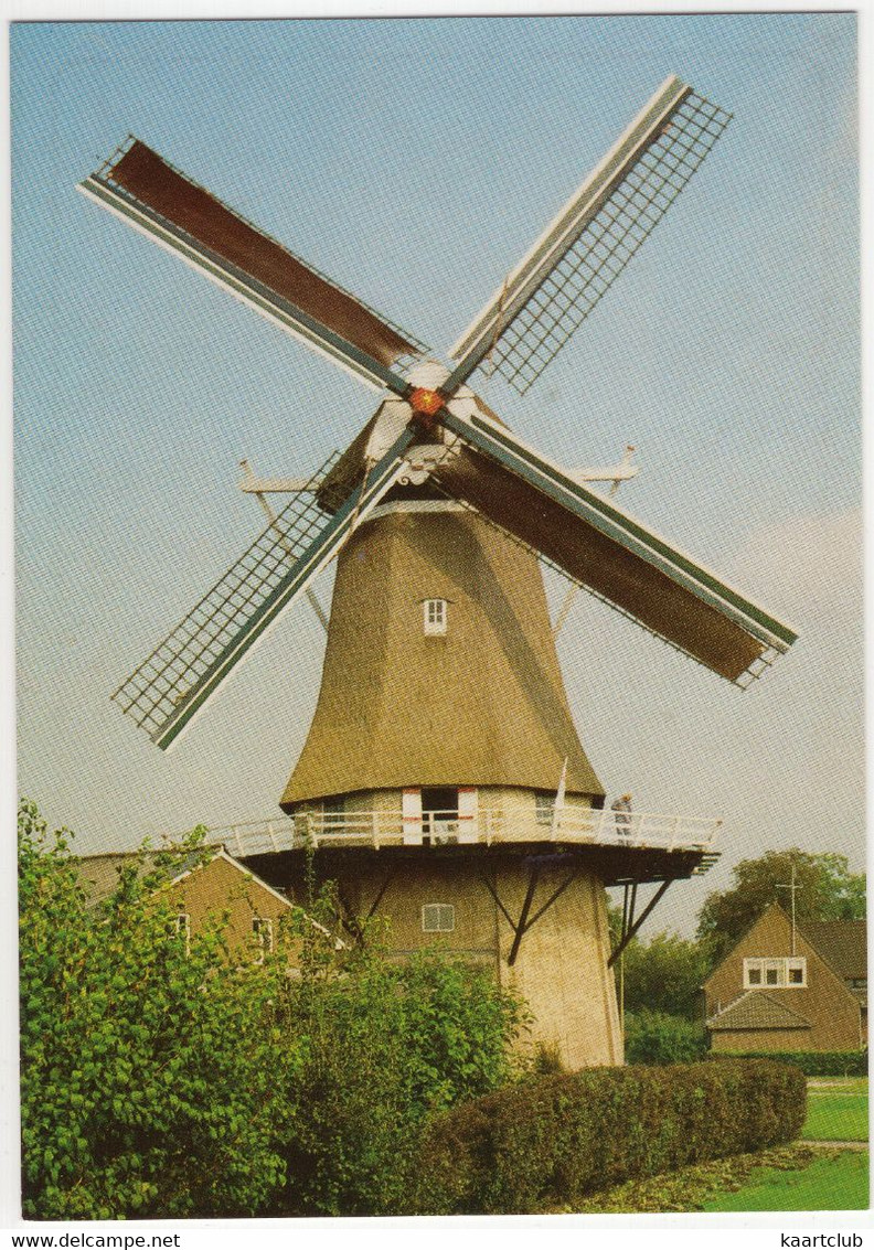 Sleen - Molen 'De Hoop', G. Hidding -  (Drenthe, Nederland / Holland) - Moulin / Mühle / Mill - Coevorden