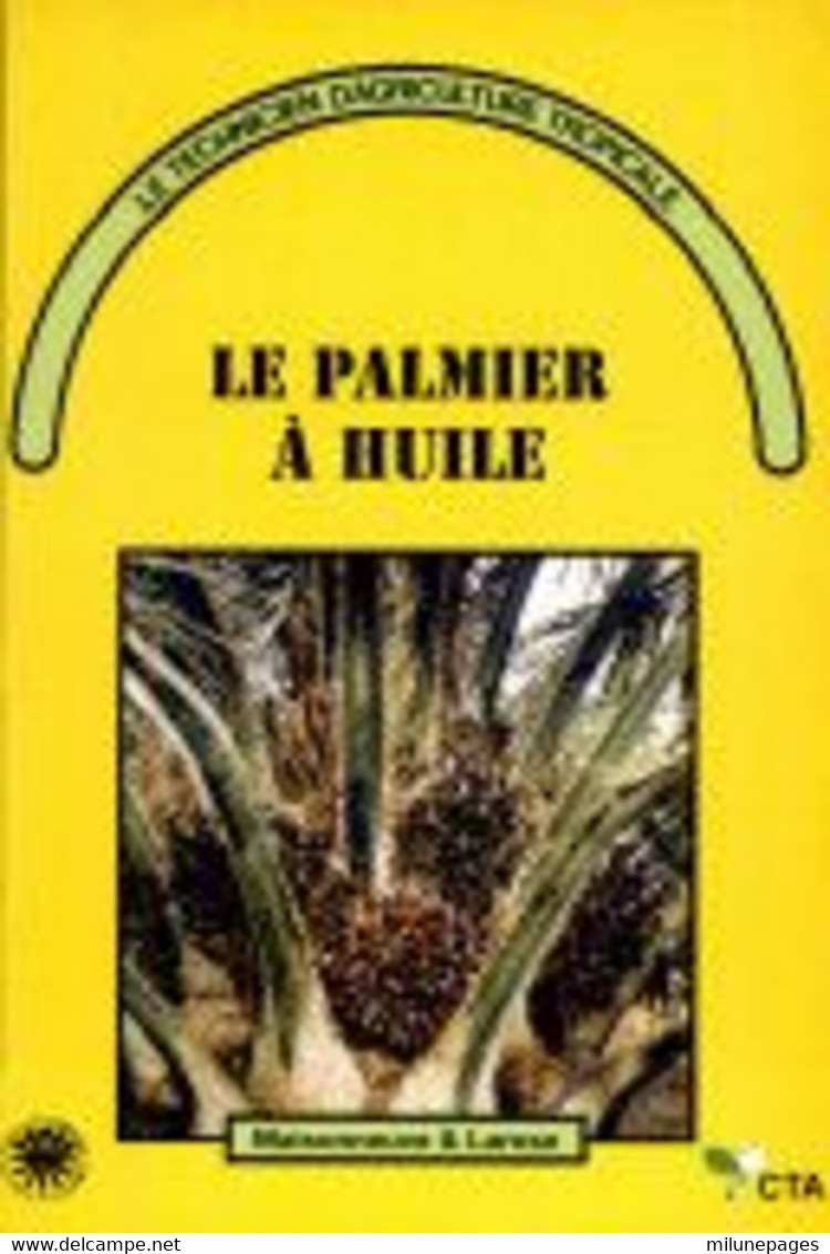 Le Palmier à Huile De Palme Par Jean-Charles Jacquemard - Natur