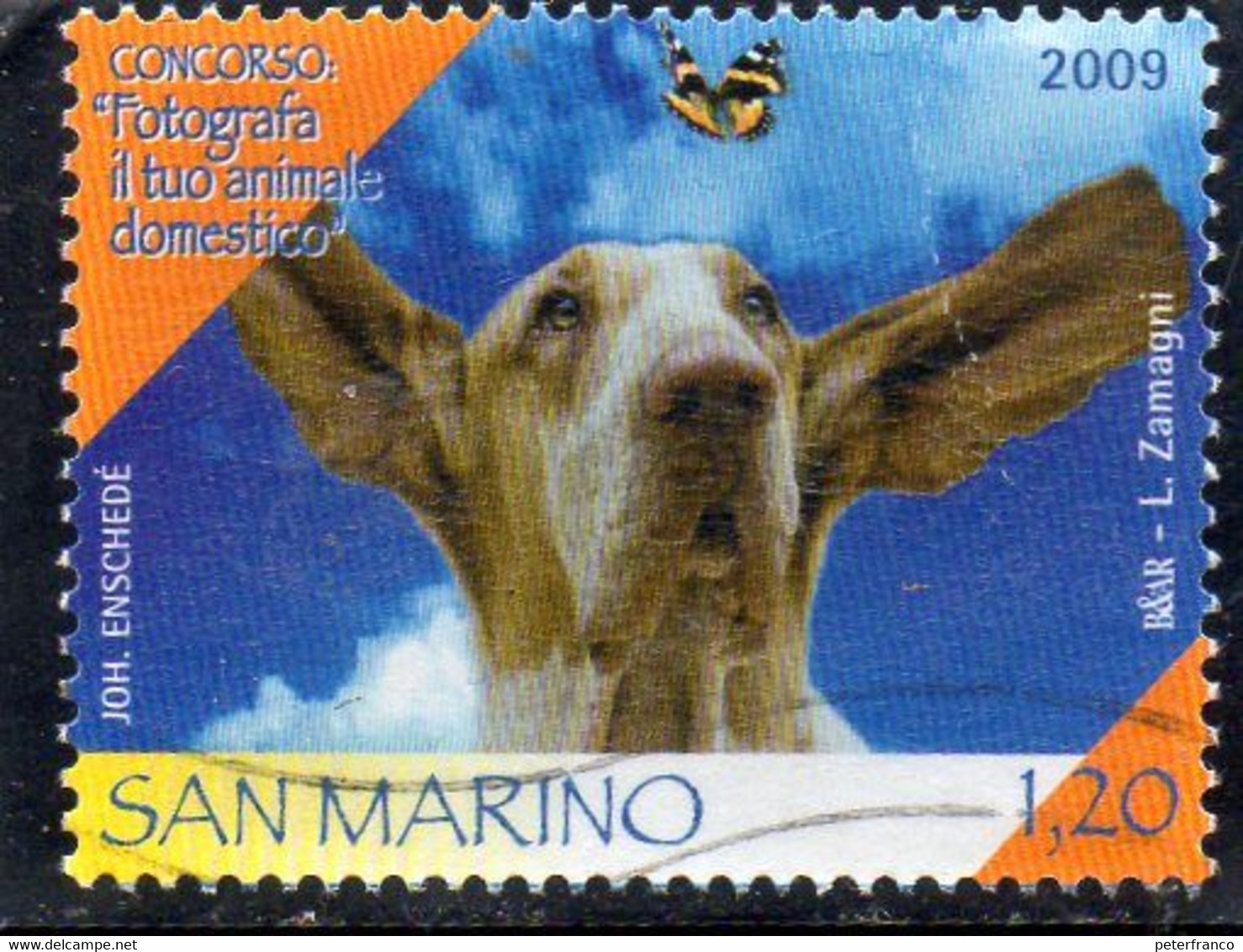 2009 San Marino - Fotografa Il Tuo Animale Domestico - Used Stamps