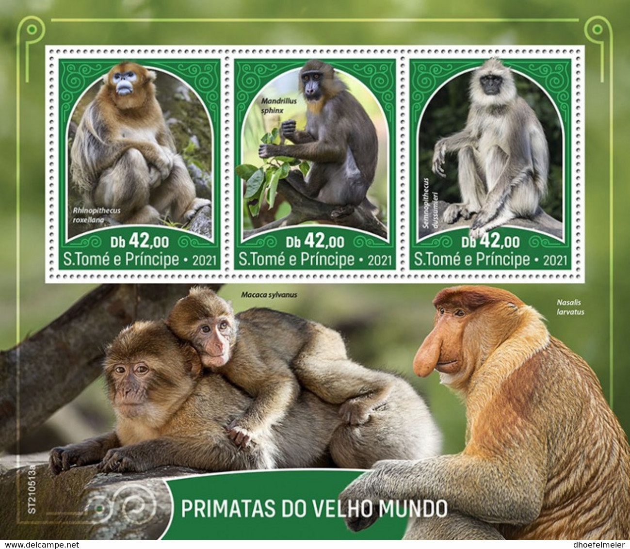 SAO TOME 2021 MNH Old World Monkeys Affen Der Alten Welt Singes Vieux Monde M/S - OFFICIAL ISSUE - DHQ2145 - Scimmie