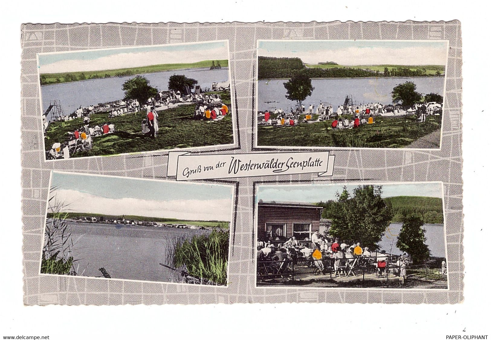 5238 HACHENBURG - SCHMIDTHAHN, Campingplatz Dreifelder Weiher, Handcoloriert, 1961 - Hachenburg