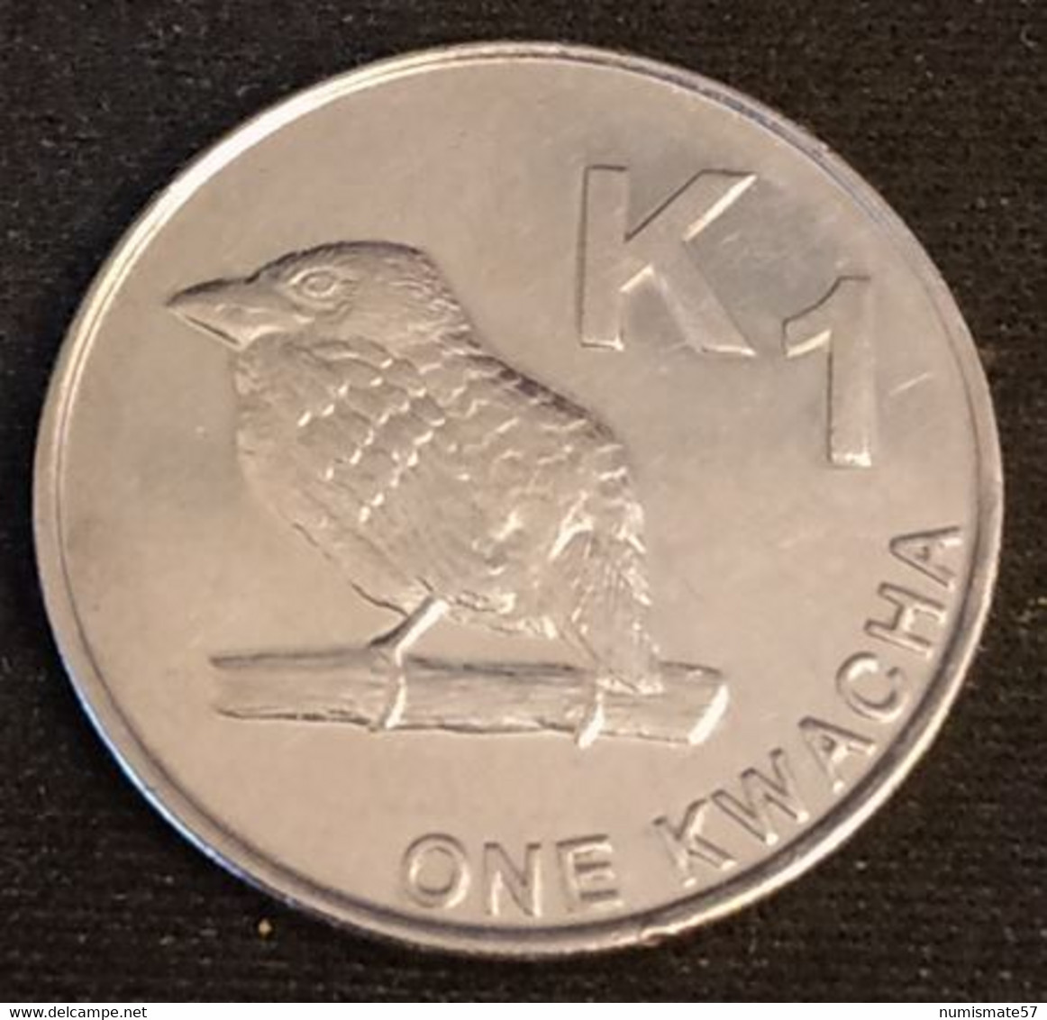 ZAMBIE - ZAMBIA - 1 - ONE KWACHA 2013 - KM 38 - Zambie