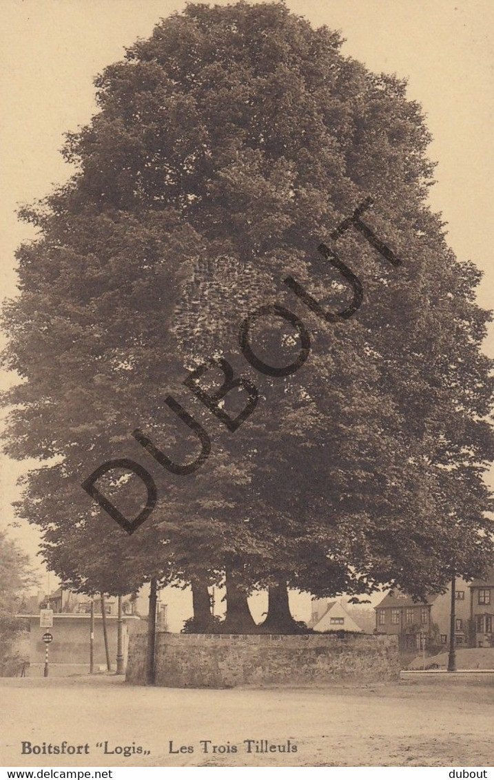 Postkaart-Carte Postale - BOITSFORT -  Les Trois Tilleuls  (C1256) - Watermaal-Bosvoorde - Watermael-Boitsfort
