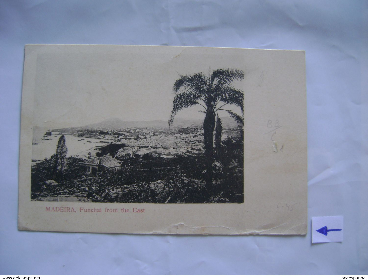 MADEIRA - POSTCARD SENT FROM FUNCHAL TO ENGLAND WITH 1 "BB/C" PERFIN IN 1904 IN THE STATE - Other & Unclassified