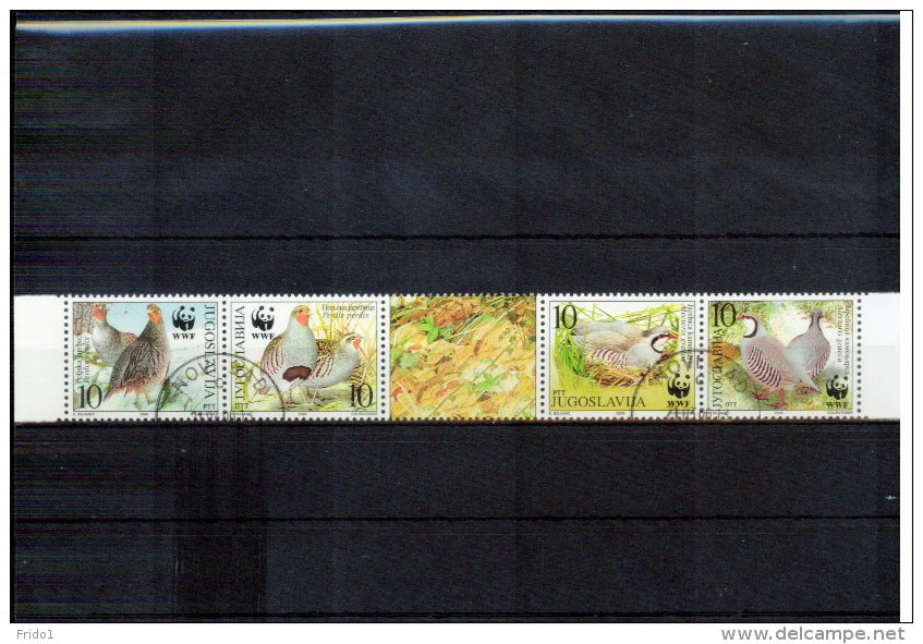 Jugoslawien / Yugoslavia / Yougoslavie 2000 WWF Birds  Michel 2966-2969  Sauber Gestempelt / Fine Used - Used Stamps