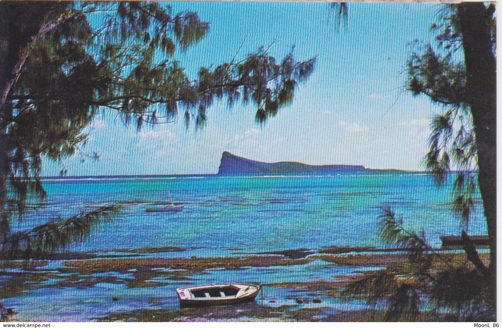 ILE MAURICE  - MAURITIUS - LE COIN DE MIRE - Maurice