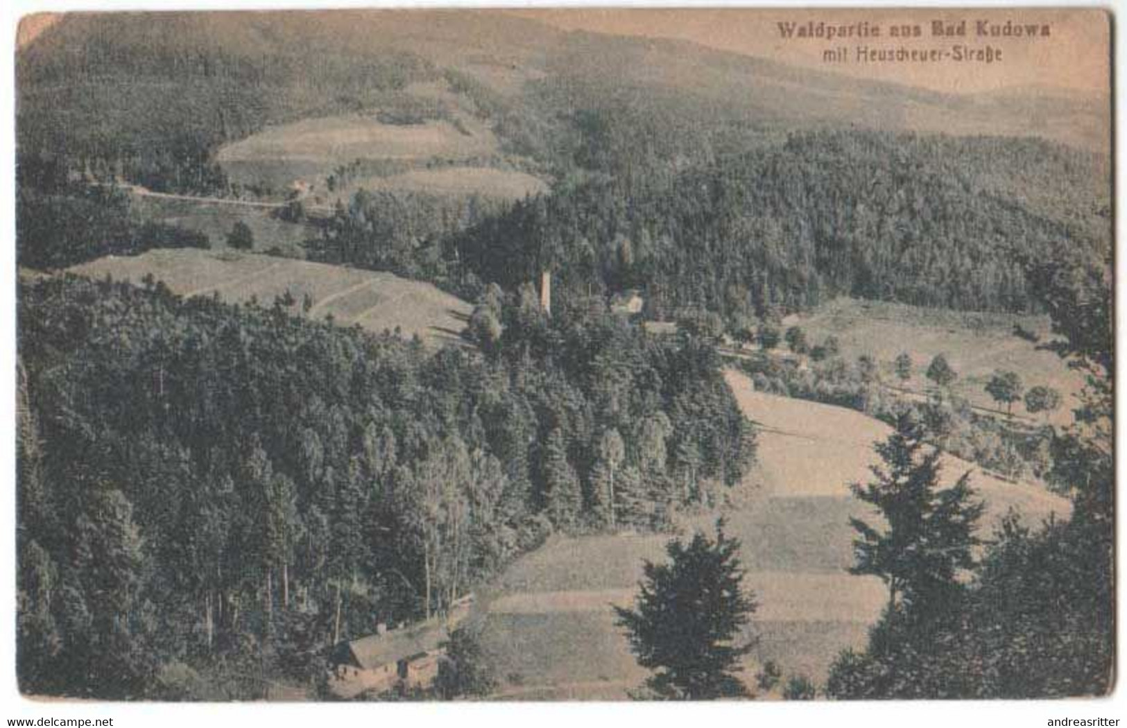 AK Bad Kudowa Heuscheuerstraße Ca 1910 (Al05) - Schlesien