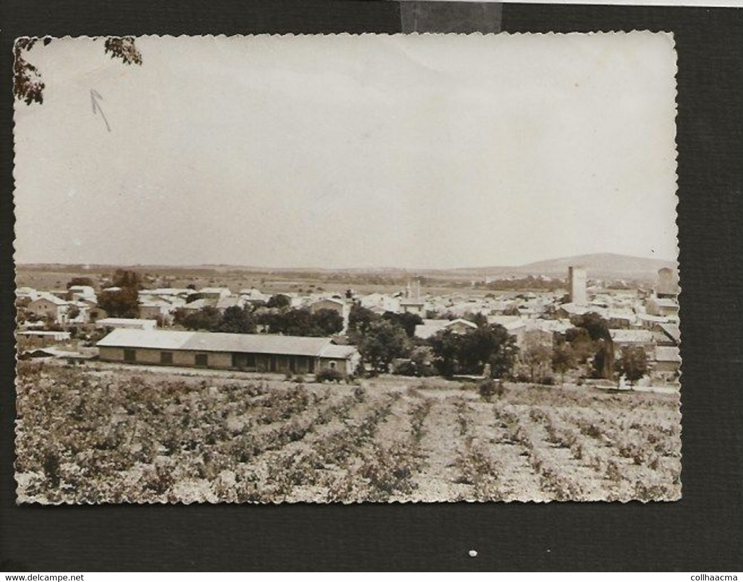 34 Pignan < Vue Générale - Sonstige & Ohne Zuordnung