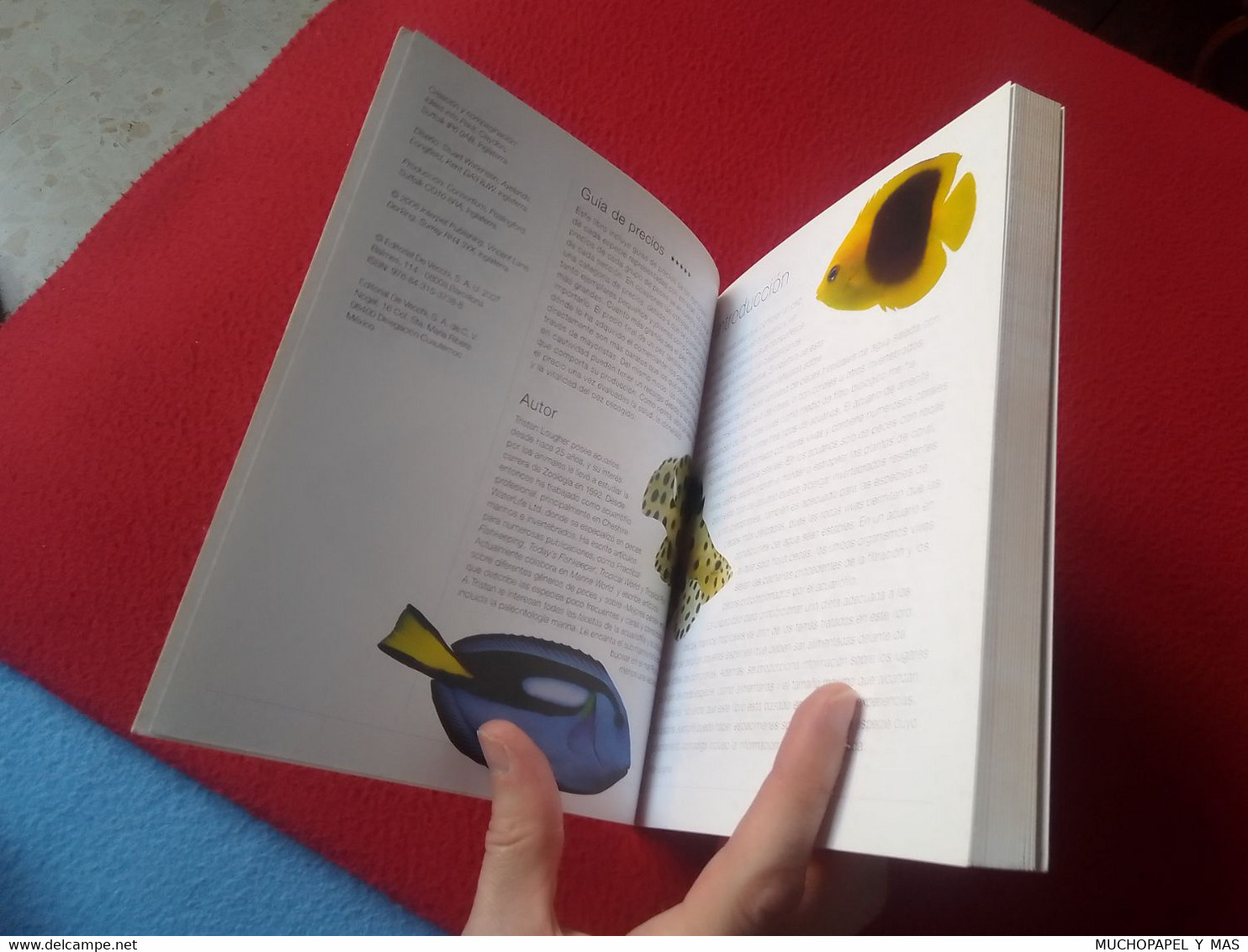 LIBRO ELIJA SU PEZ GUÍA PARA EL COMPRADOR DE PECES DE AGUA MARINA, TRISTAN LOUGHER, DE VECCHI VER, SPANISH LANGUAGE..... - Ciencias, Manuales, Oficios