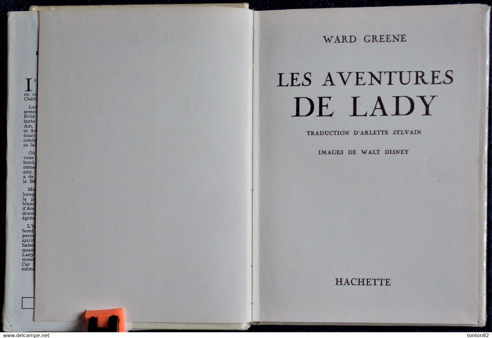 Jane Flory - Les Cinq Du Bord De L'eau - Idéal Bibliothèque - N° 113 - (1957 ) . - Ideal Bibliotheque