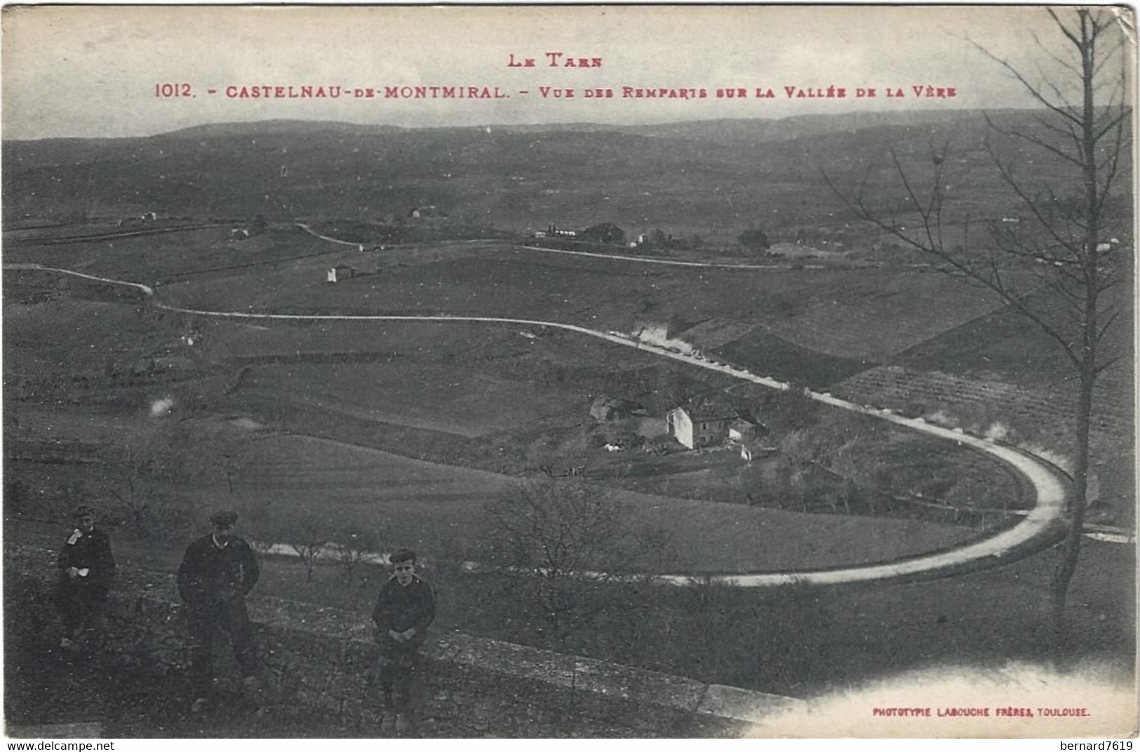 81   Castelnau De  Montmirail  -   Vue  Des Remparts  Sur La Vallee De La Vere - Castelnau De Montmirail