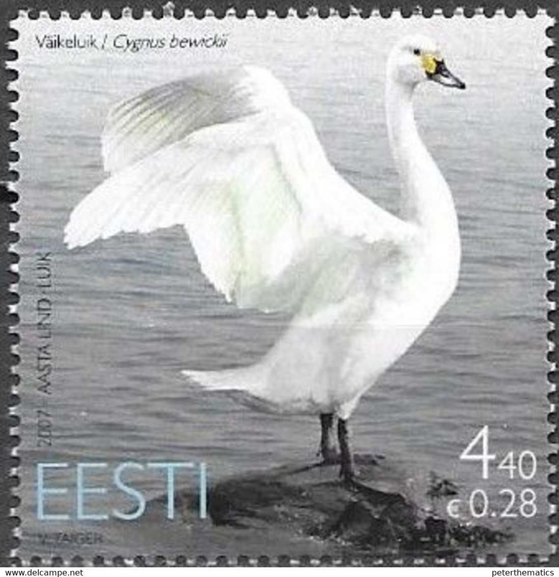 ESTONIA, 2007, MNH, BIRDS, SWANS, 1v - Cygnes