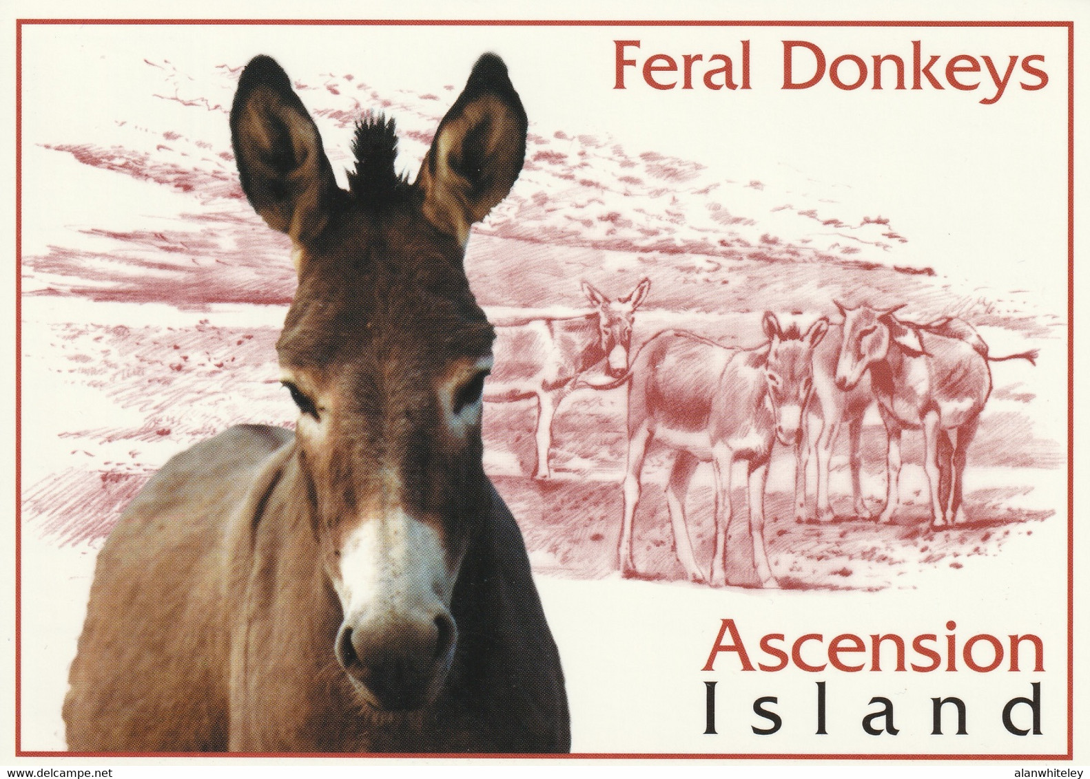 ASCENSION ISLAND 2001 Tourism: Set Of 10 Postcards MINT/UNUSED - Ascension Island