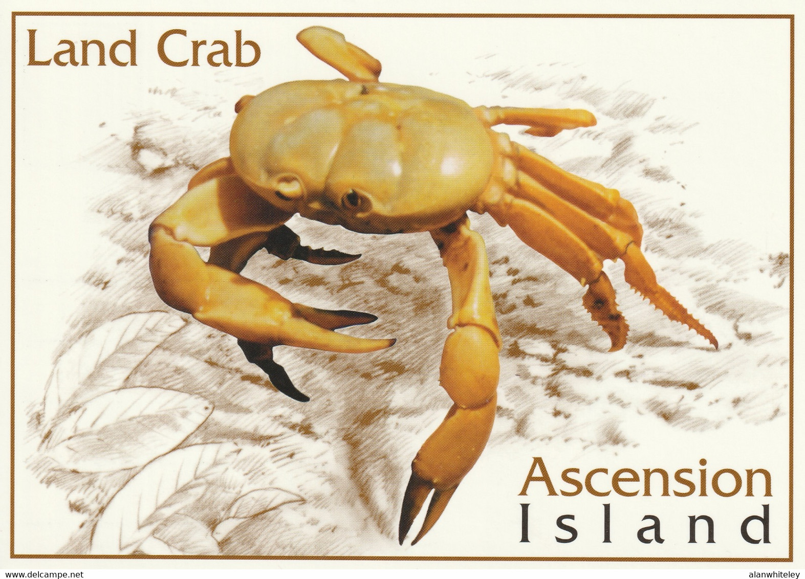 ASCENSION ISLAND 2001 Tourism: Set of 10 Postcards MINT/UNUSED