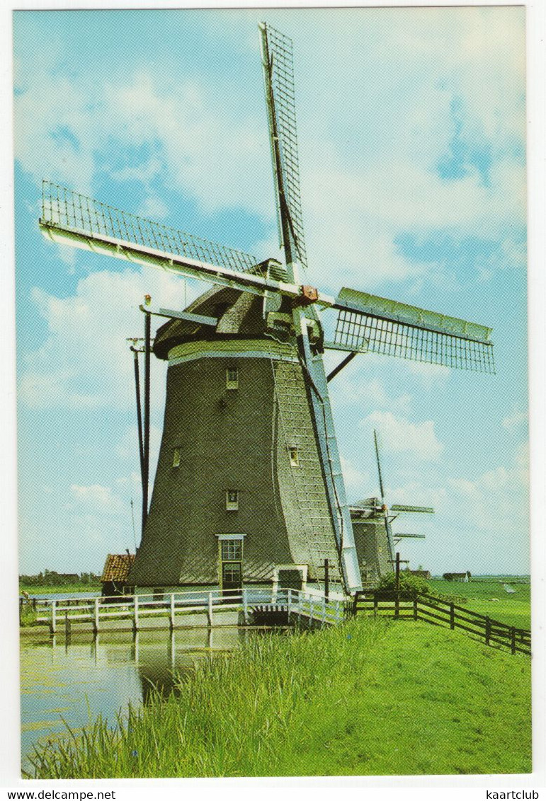 Leidschendam - Driegang Van De Driemanspolder - Poldermolens - (Nederland - Zuid-Holland) - Moulin/Mill/Mühle/Molen - Leidschendam